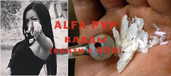 мяу мяу кристалл Богданович