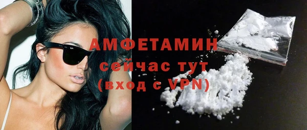 прущие грибы Богородицк