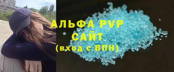 прущие грибы Богородицк