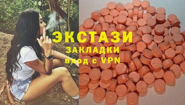прущие грибы Богородицк