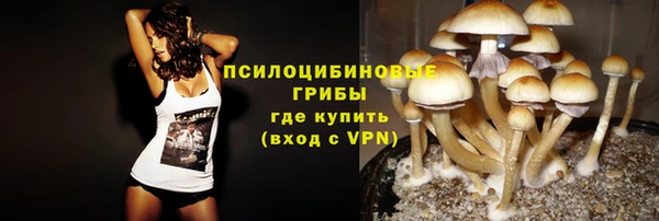 мяу мяу кристалл Богданович