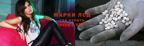 прущие грибы Богородицк