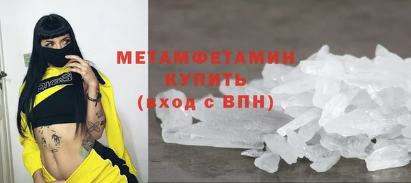 прущие грибы Богородицк