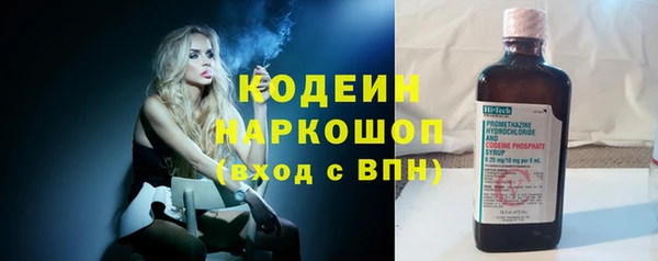 прущие грибы Богородицк