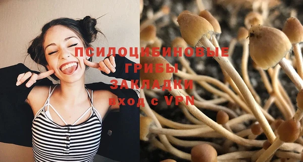 эйфоретик Нязепетровск