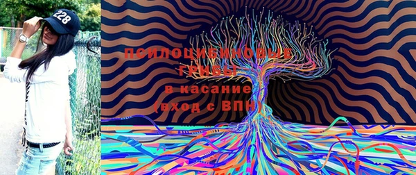 мяу мяу кристалл Богданович